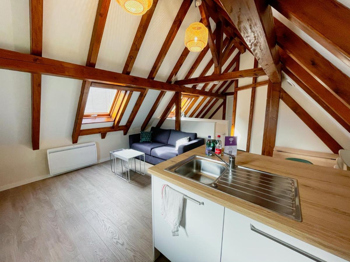 Le Cocon - Classe 3 Etoiles - Avec Garage, A 5Mn Du Centre Štrasburk Exteriér fotografie
